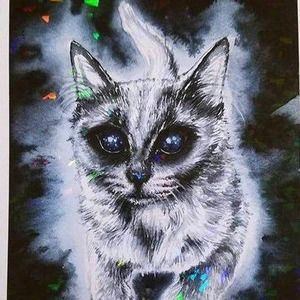 Meet your Posher, Kay